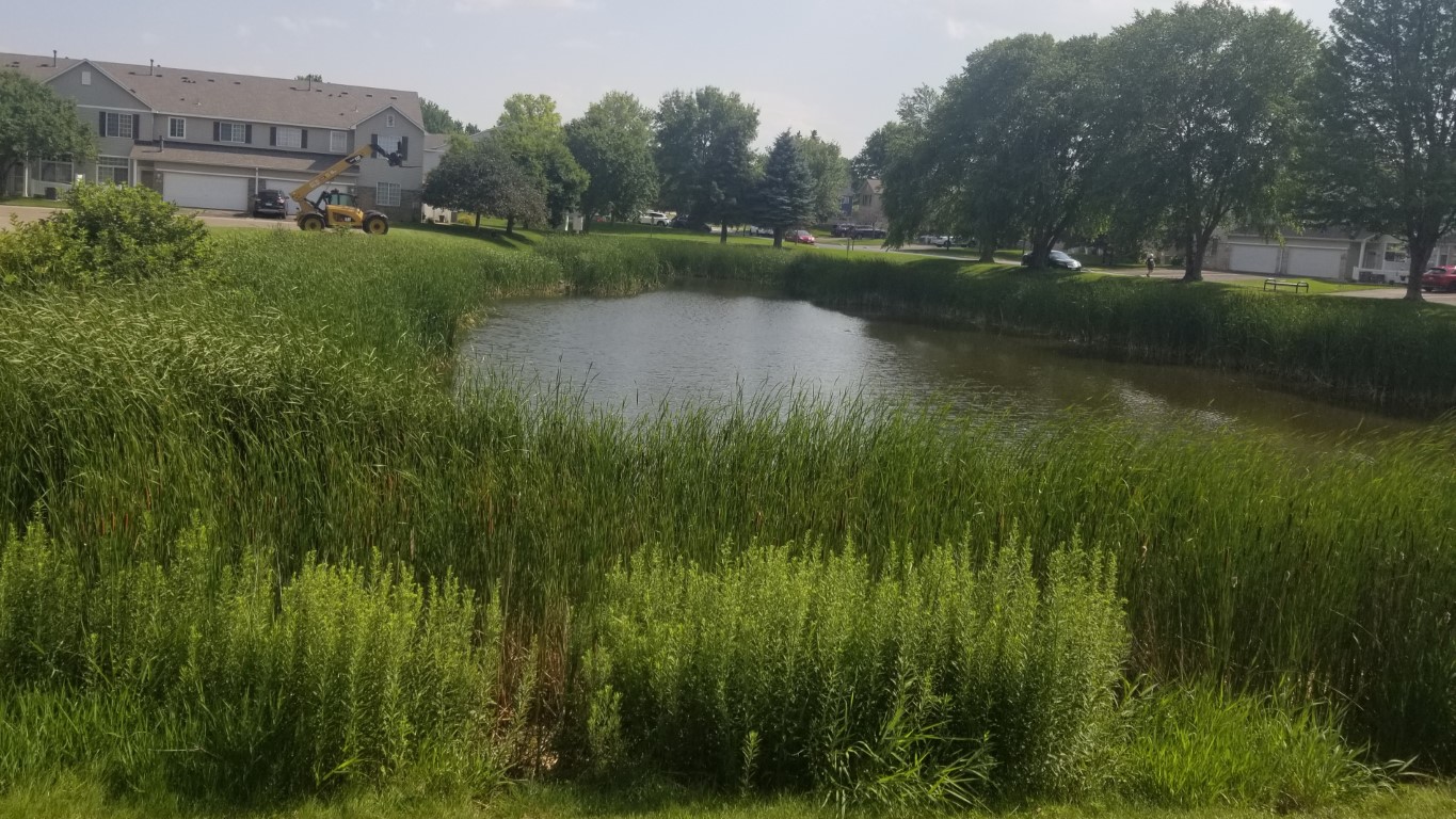 Backyard pond