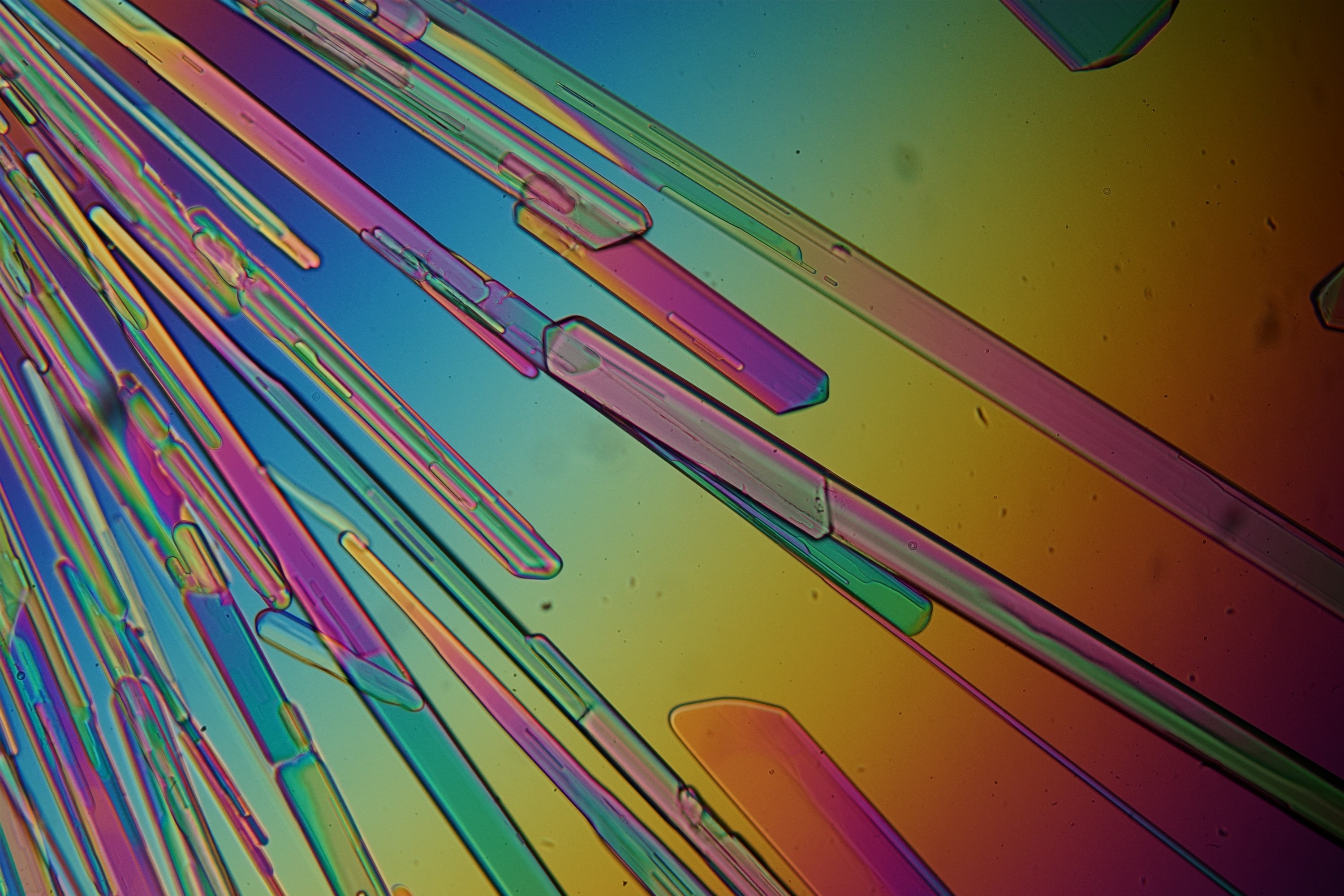 Epsom crystals polarized