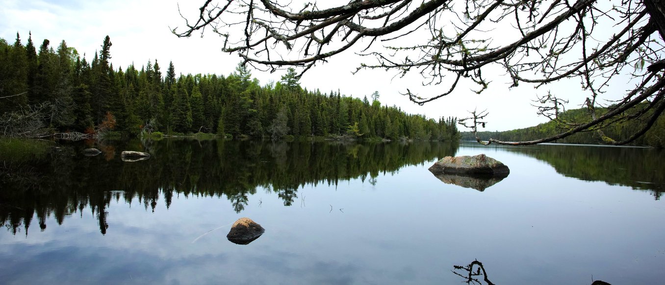 BWCA