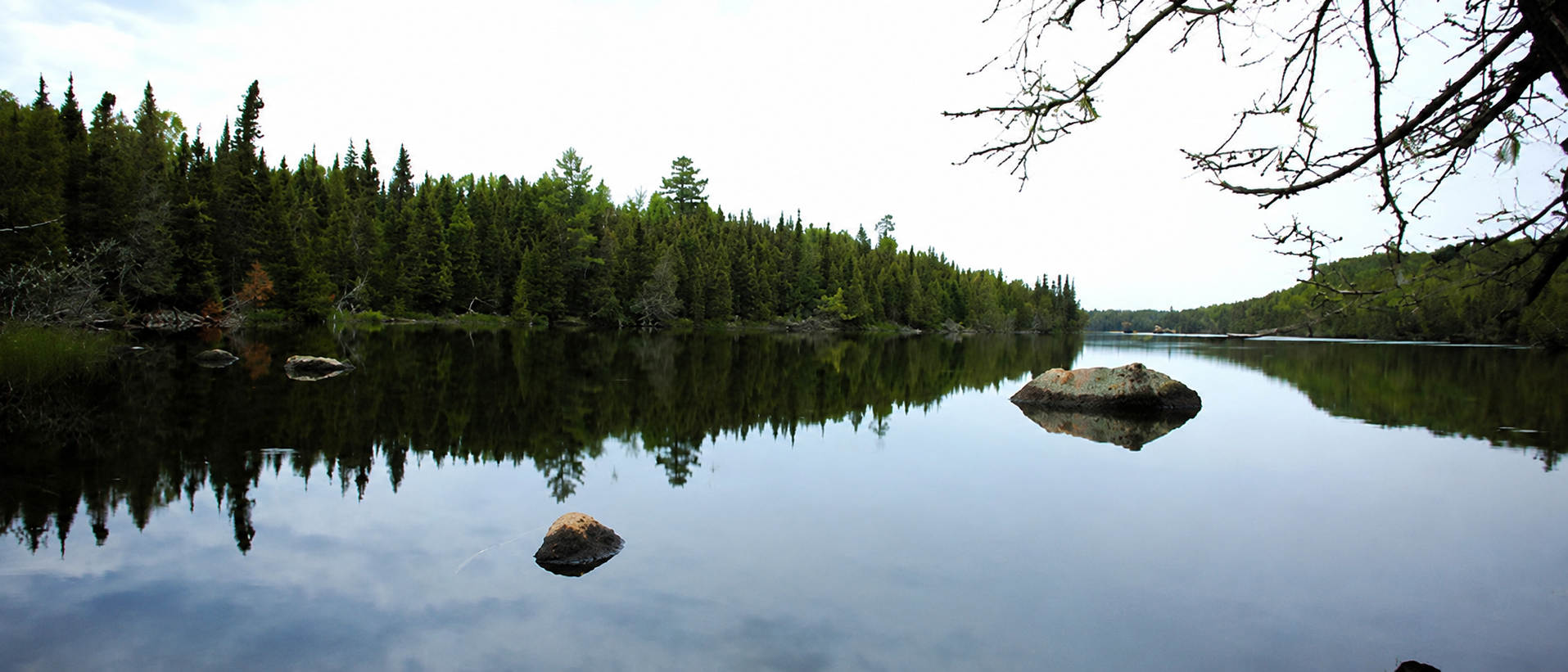 BWCA